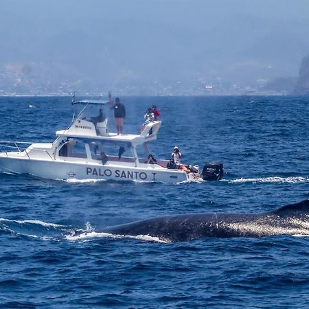 Whale House Hotel Puerto López المظهر الخارجي الصورة