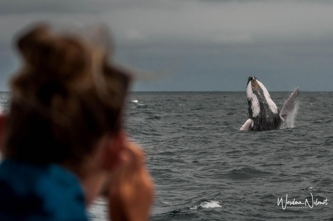 Whale House Hotel Puerto López المظهر الخارجي الصورة