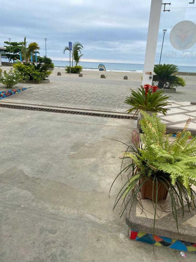 Whale House Hotel Puerto López المظهر الخارجي الصورة