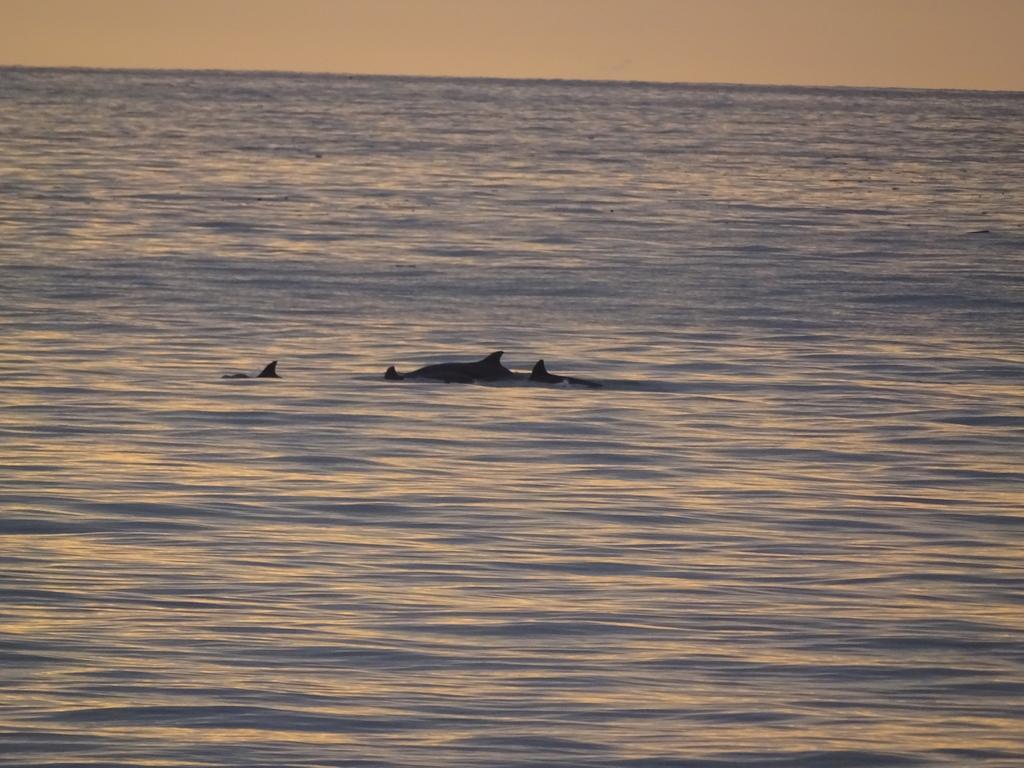 Whale House Hotel Puerto López المظهر الخارجي الصورة